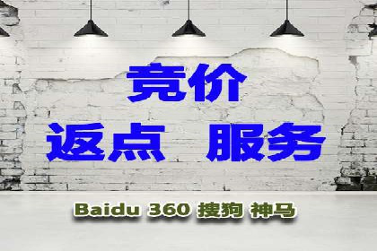 行业领先企业如何通过SEM推广代运营提升业绩